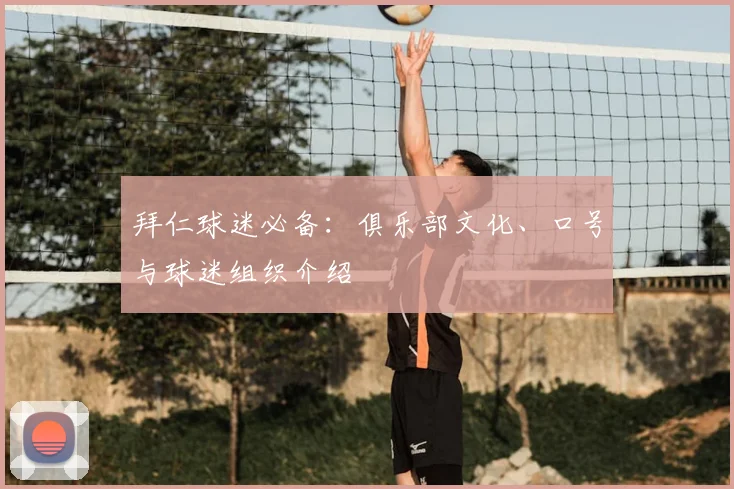 拜仁球迷必备:俱乐部文化、口号与球迷组织介绍