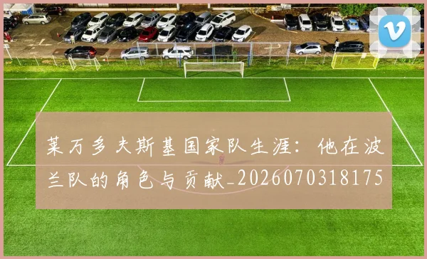 莱万多夫斯基国家队生涯：他在波兰队的角色与贡献_20260703181759
